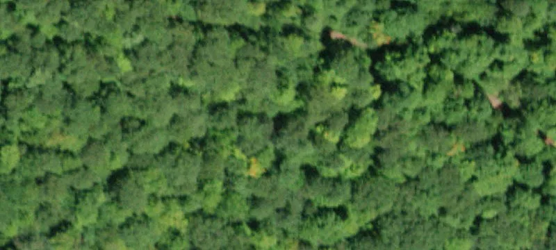 Vacant Land