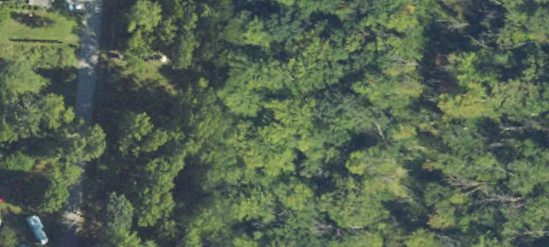 Waterfront Land With River Access
