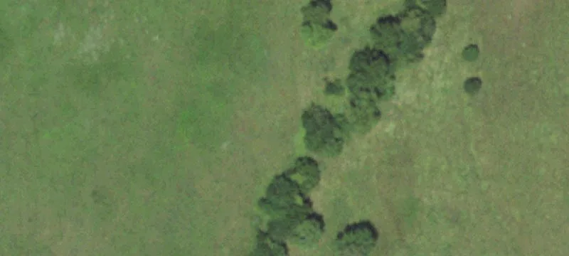 Wooded Agricultural Corner Parcel