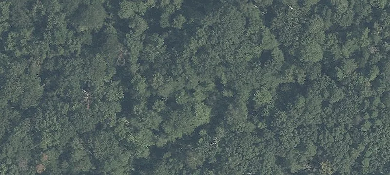 Cleared Commercial Land