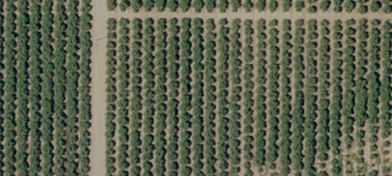 Land/Lot