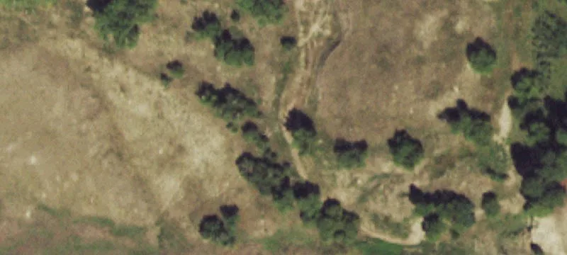 Equestrian Property with Arena
