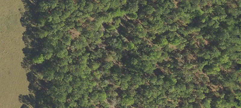 Land/Lot
