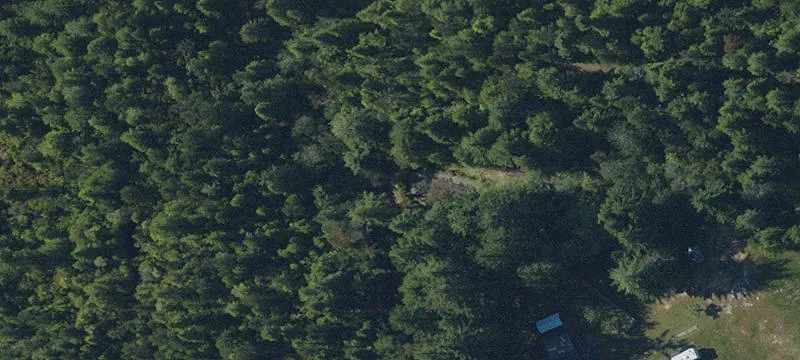Land/Lot