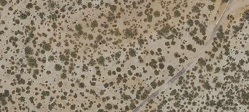 Land/Lot