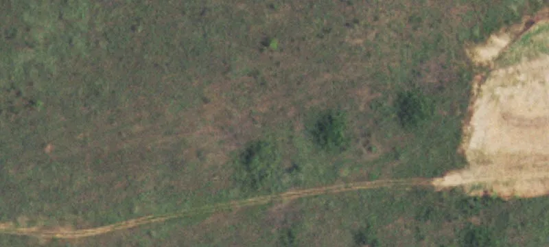 Hunting Land with Seasonal Creeks