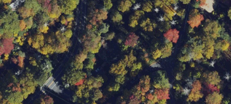 Land/Lot