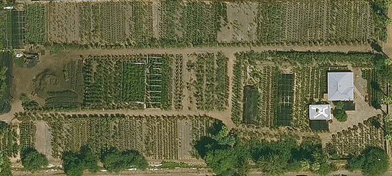 Irrigated Nursery Property