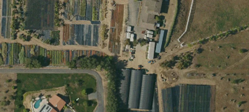 Multi-Home Agricultural Property