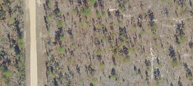 Vacant Land