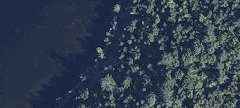 Waterfront Land with Lake Access