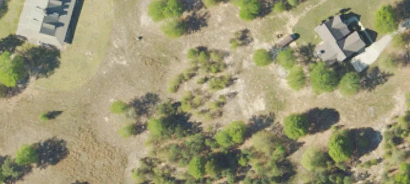 Horse Property with Four Paddocks