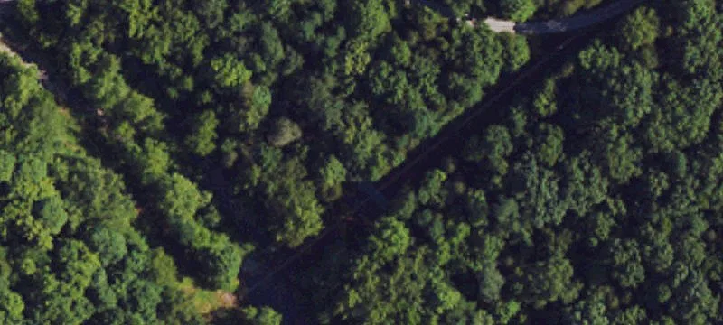 Ranch with Hunting Grounds