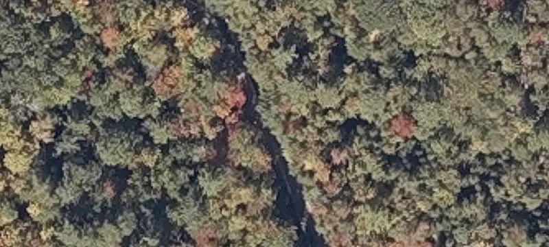 Wooded Land Parcel
