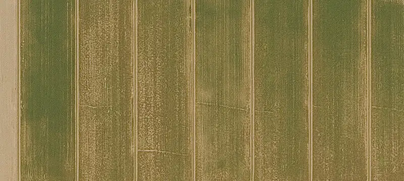 Land/Lot