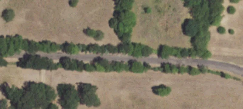 Fenced Agricultural Land