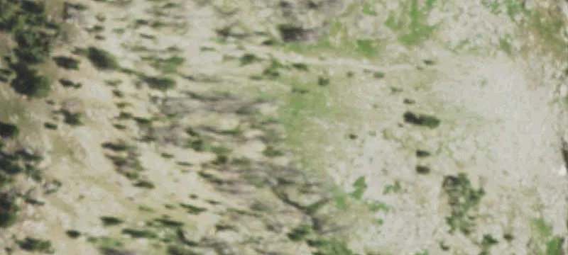 Vacant Land / Lots