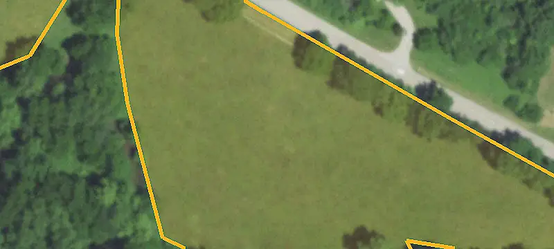 Pastureland with Mature Trees