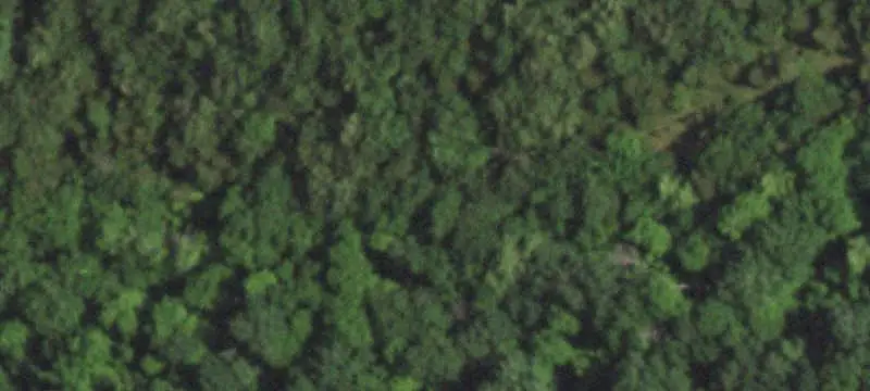 Vacant Land