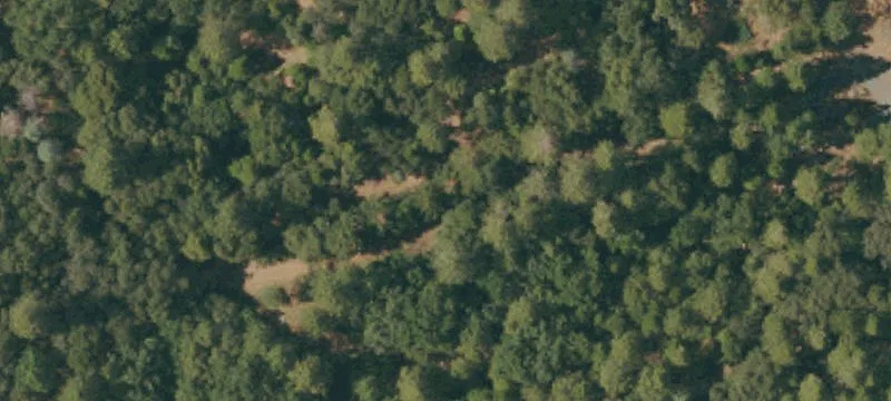 Land/Lot