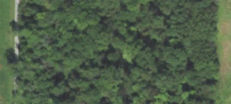 Wooded Commercial Land