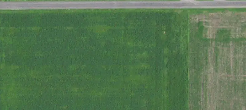 Land