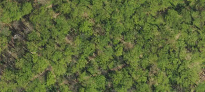 Vacant Land