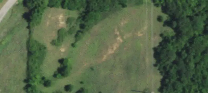 Coastal Pasture Agricultural Land