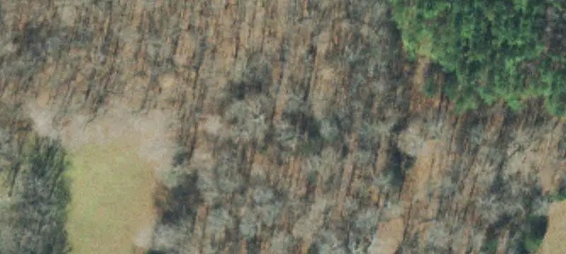 Hunting Land with Residence