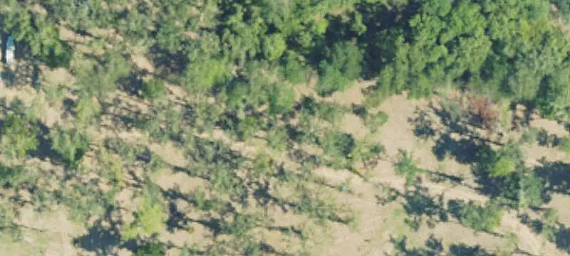 Waterfront Land on Lake Mary
