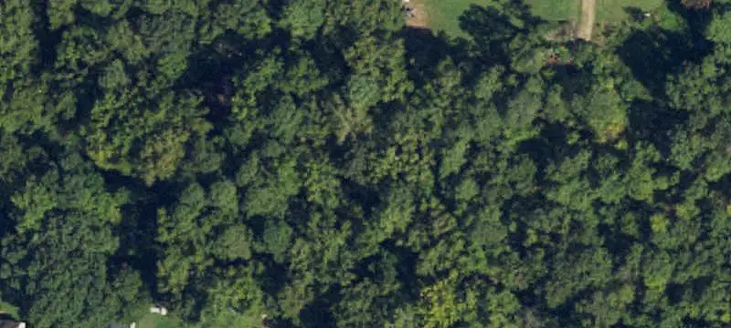Wooded Unimproved Land Parcel