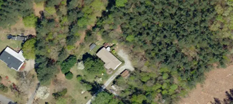Wooded Land with Natural Creeks