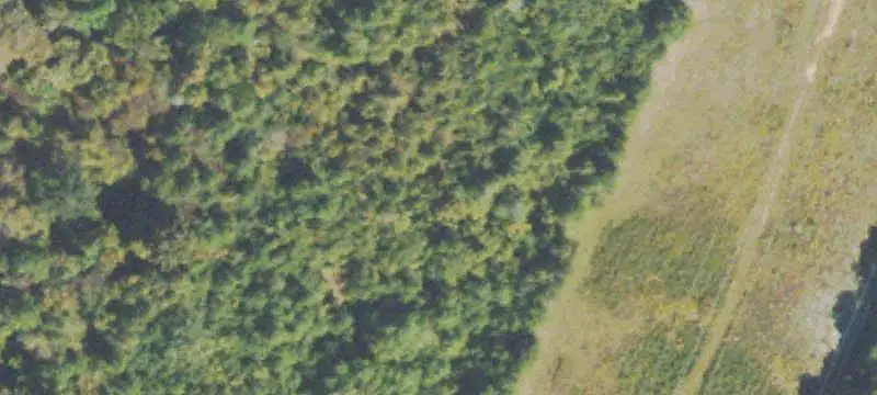 Hunting Land with Barndominium