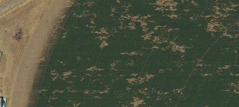 Re-Platted Land Parcel