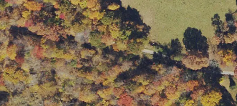 Hunting Land Along Two Creeks