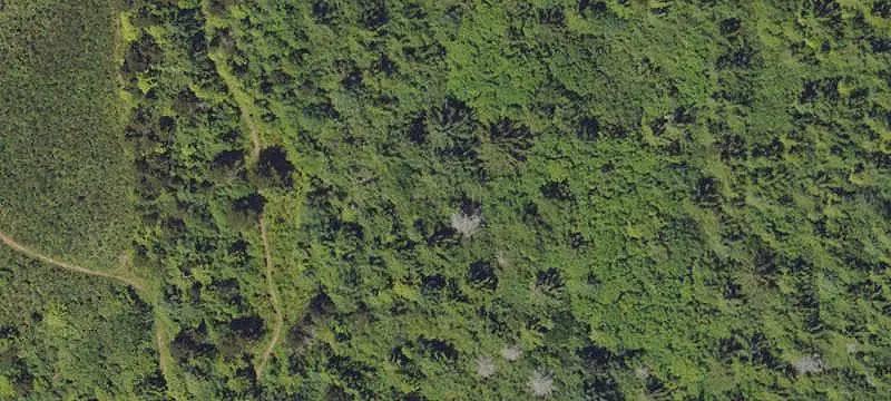 Land