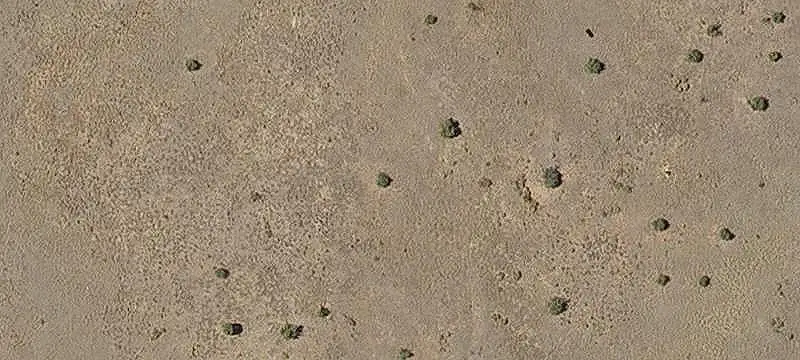Land/Lot