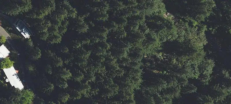 Wooded Land Parcel