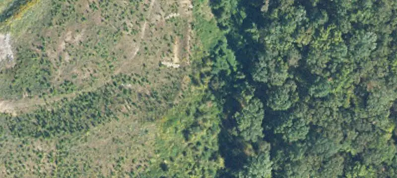 Vacant Land