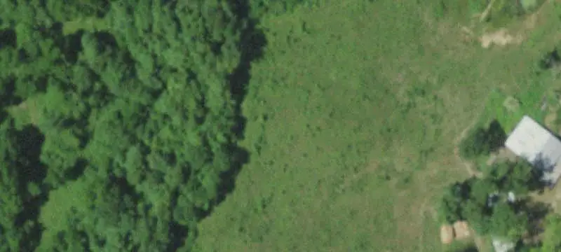 Undeveloped Land