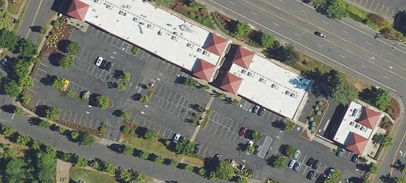 Established Sushi Restaurant Business