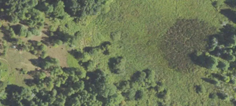 Private Hunting Land with Pond