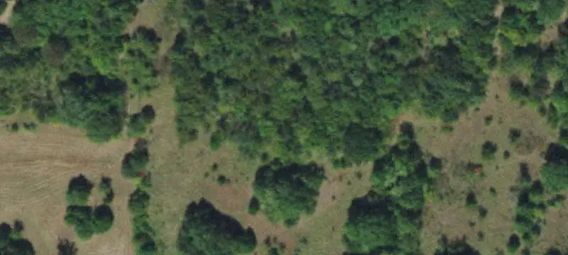 Oak Timber Hunting Land