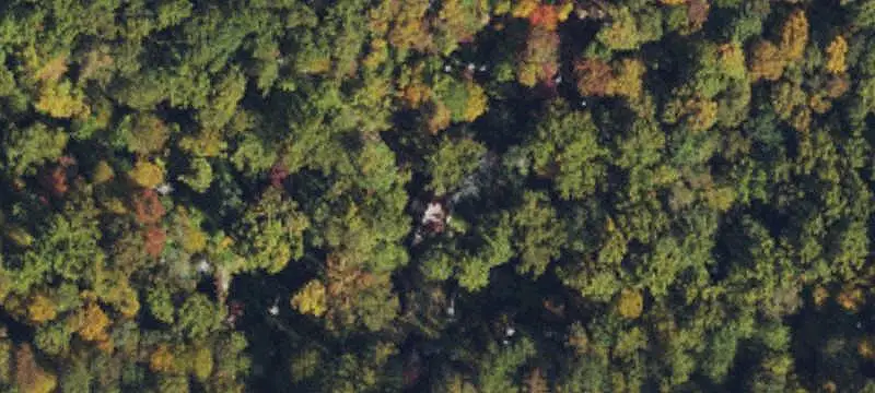 Land/Lot