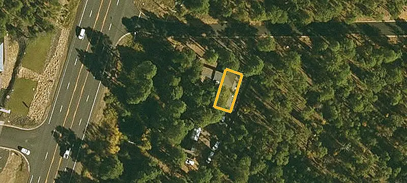 Pine-Lined Specialty Property