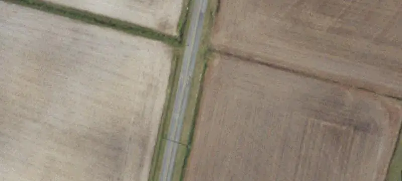 Agricultural Farmland with Wildlife