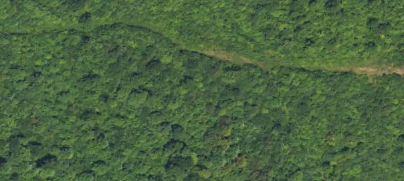 Land/Lot