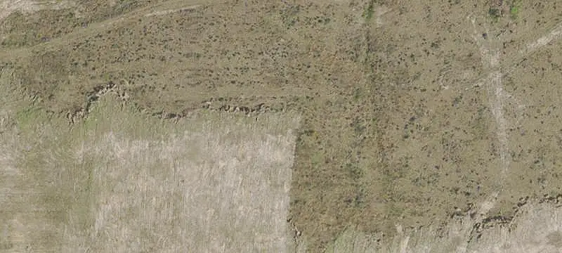 Gated Hunting Land with Trails