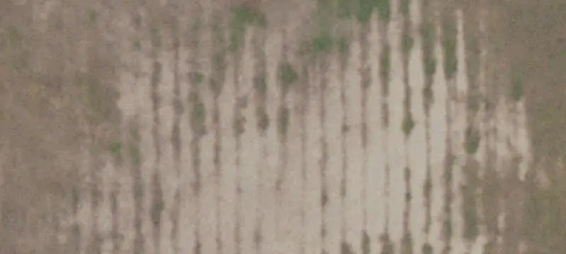 Vacant Land