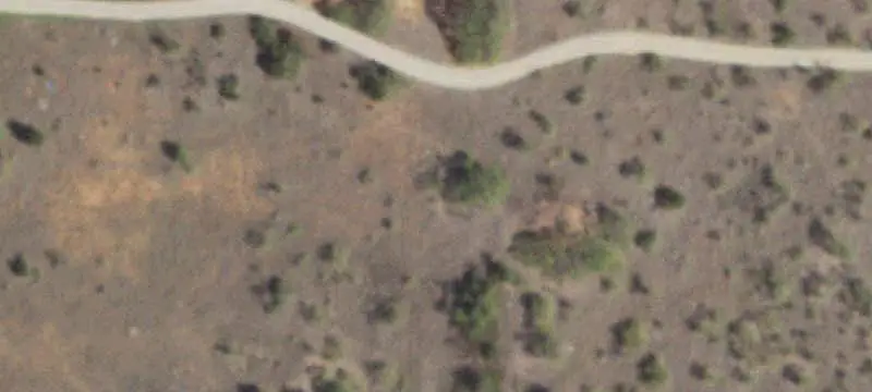 Cleared Agricultural Land with Pastures